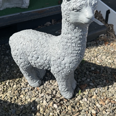 Alpaca 