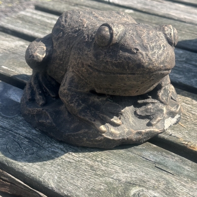 Bronze Frog 