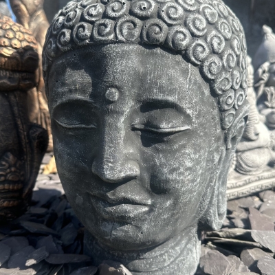 Buddha Head 