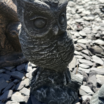 Great Horner Owl 