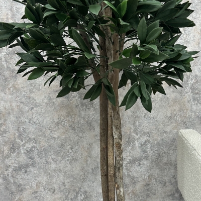 Indoor artificial plant 