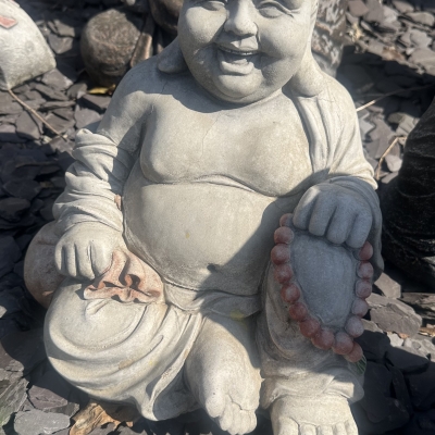 Laughing Buddha 