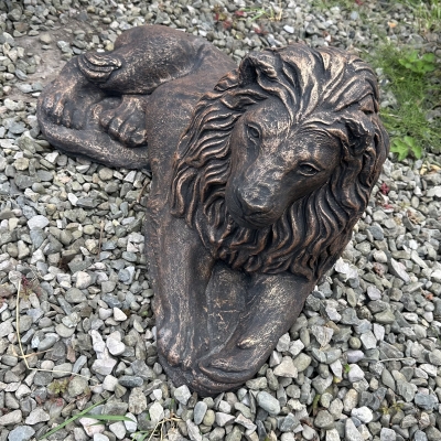 Laying Down lion 