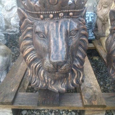 lion head