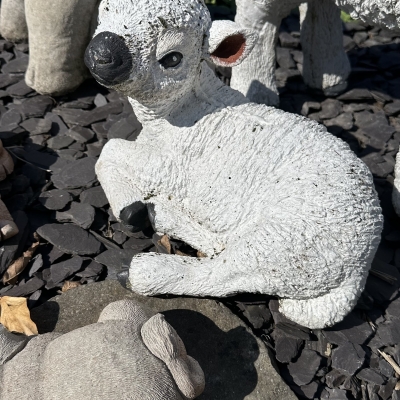 Medium lamb laying Down 