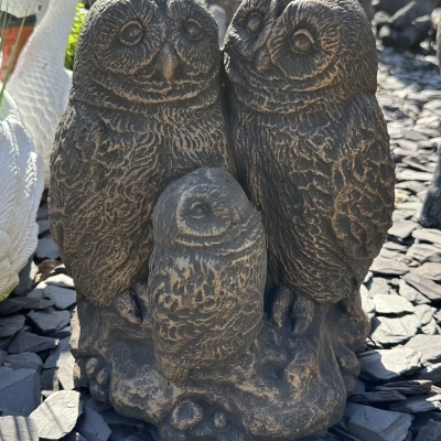 Owl Family 
