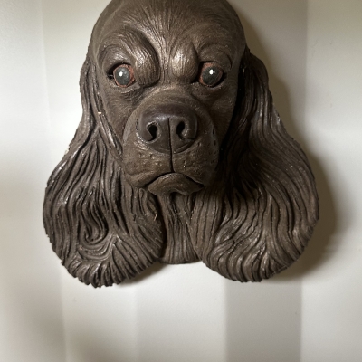 Spaniel